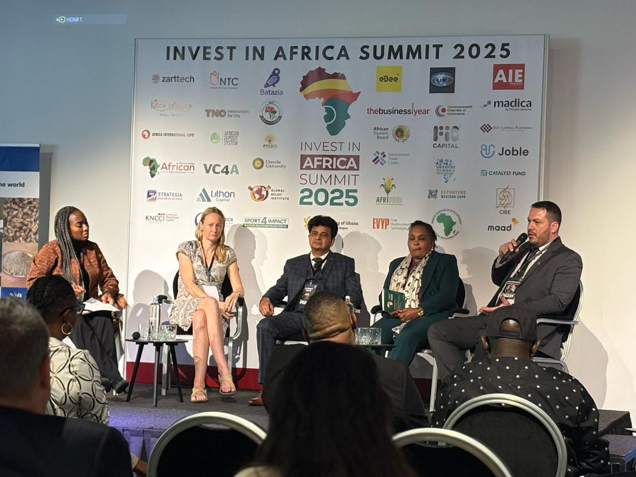 Panel at the Invest in Africa Summit 2025